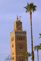 Image du Maroc Professionnelle de  Le minaret de la Koutoubia, l’emblème de Marrakech, la ville rouge, Samedi 26 Février 2005. Erigé en pierre de taille son édification fut décidée en 1158 par le sultan Almohade Abdel Moumen aussitôt après sa conquête de Marrakech.  (Photo / Abdeljalil Bounhar)